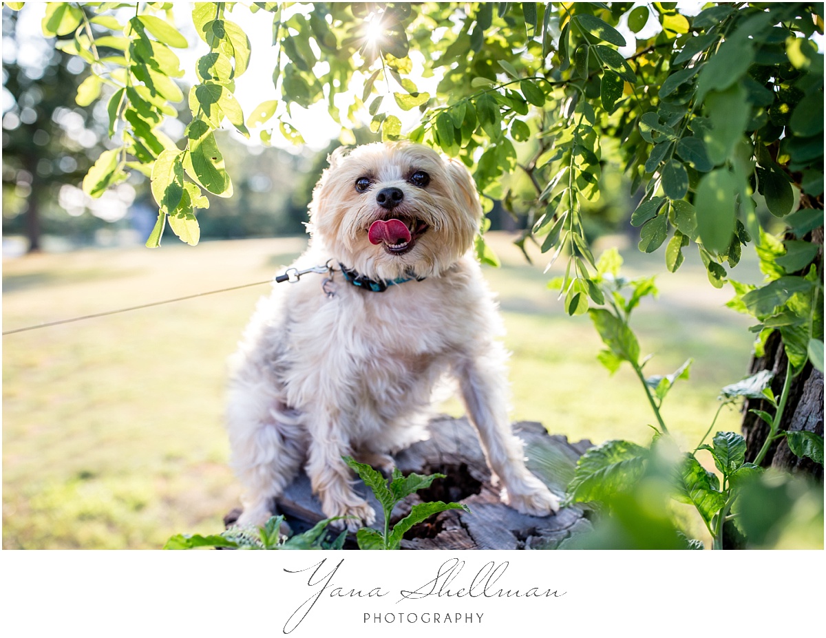 Aloft Mount Laurel Wedding by Cherry Hill Wedding Photographer – Lindsay+Rob Engagement Session